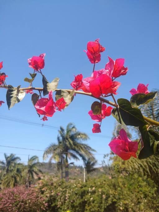 Chale Aconchegante Em Estancia Climatica Santo Antonio do Leite Ngoại thất bức ảnh