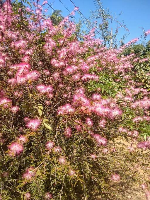 Chale Aconchegante Em Estancia Climatica Santo Antonio do Leite Ngoại thất bức ảnh